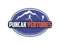 Puncak Ventures