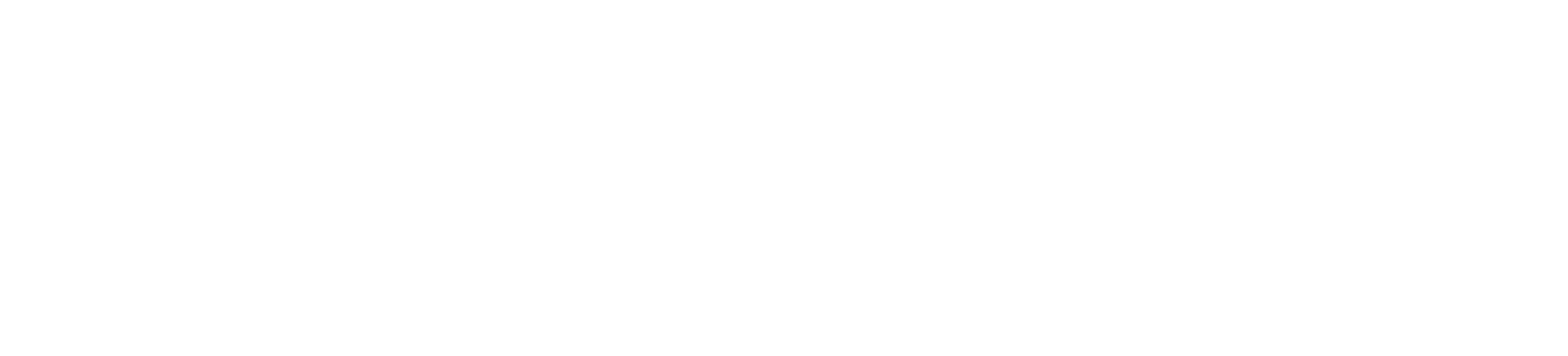 TIZ Events